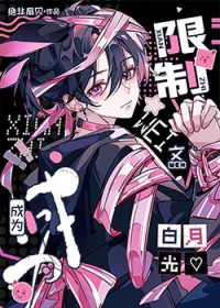辞鸢情深