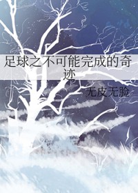[足球同人] 足球之不可能完成的奇迹