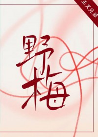 清穿之四爷后院升职记